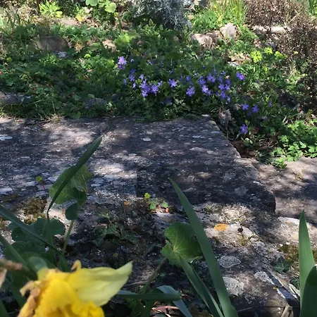 Bella Tatil Evi Grožnjan