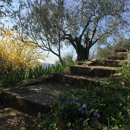 Bella Tatil Evi Grožnjan